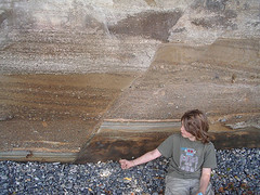 Fossils at Muir Creek